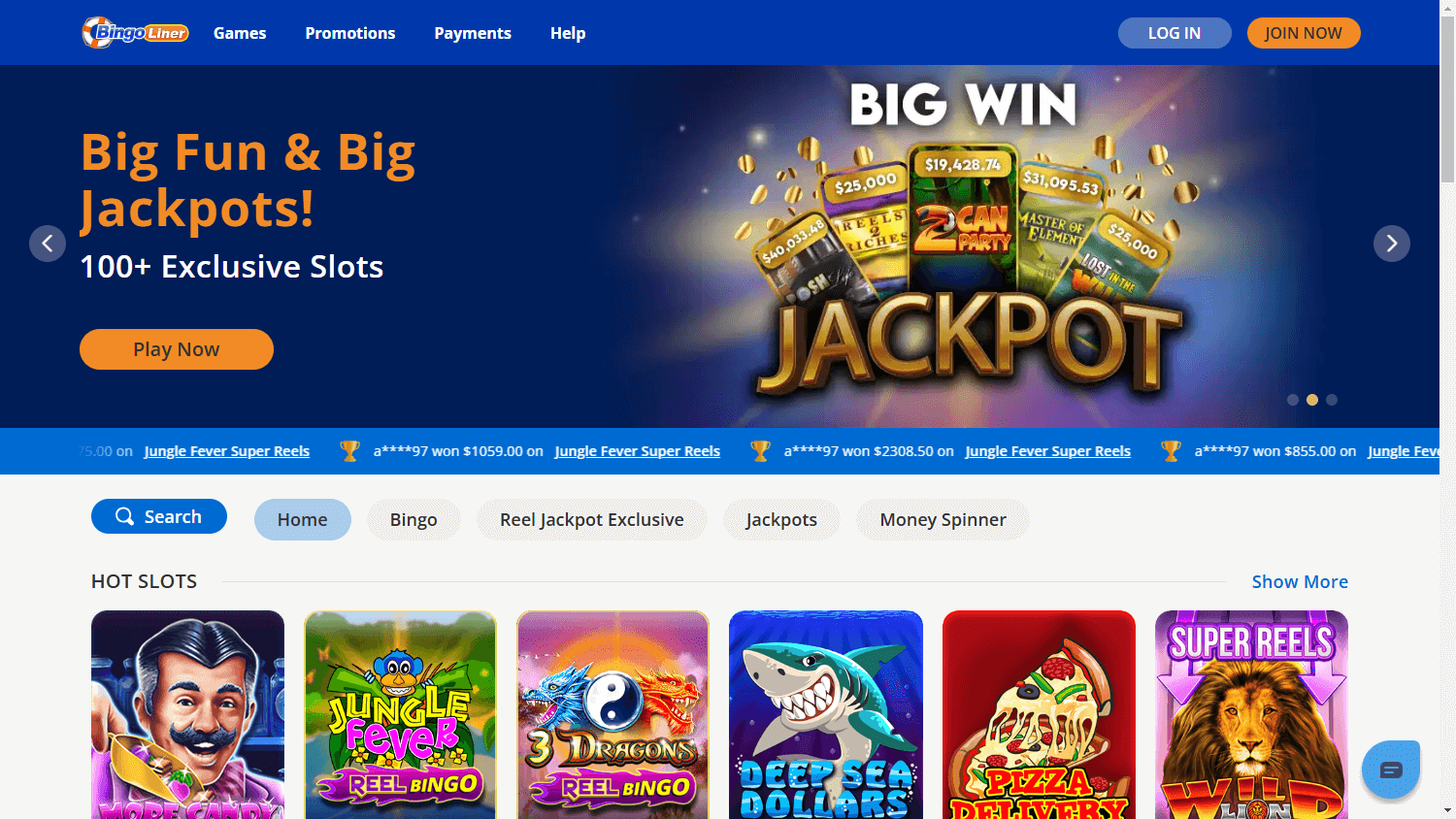 Bingo Liner Casino Desktop screenshot