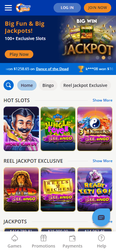 Bingo Liner Casino Mobile screenshot